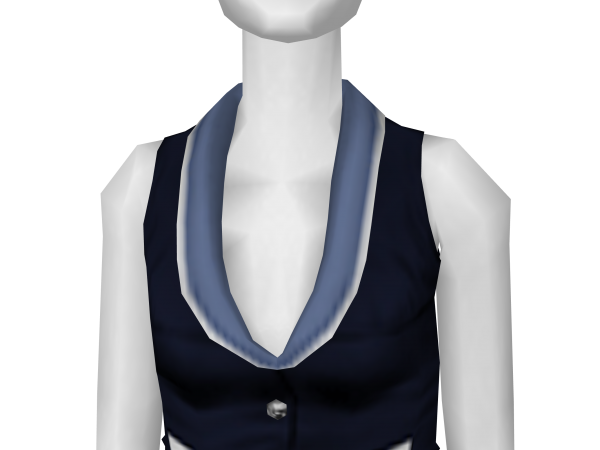 Avatar Navy Vest