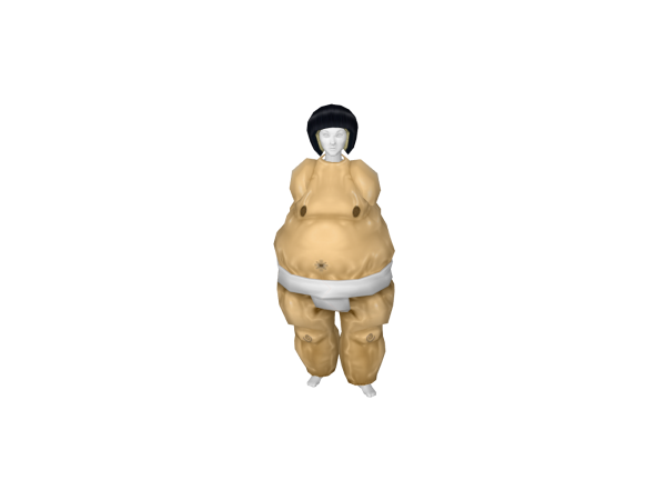 Avatar Sumo Suit