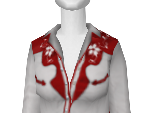 Avatar Red and White Western Shirt