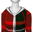 Avatar Green and Red Wool Hoodie