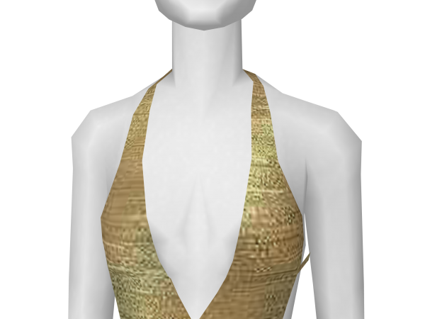 Avatar Golden Bikini Top