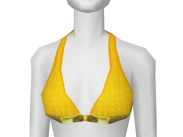 Avatar Sunshine Coast Bikini Top