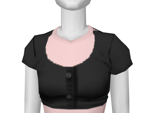 Avatar Pink and Gray Top