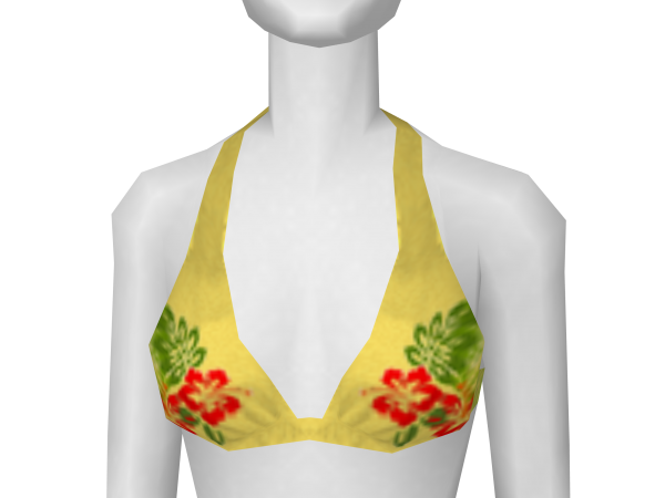 Avatar Hibiscus Bikini Top