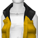 Avatar Yellow Puffy Vest