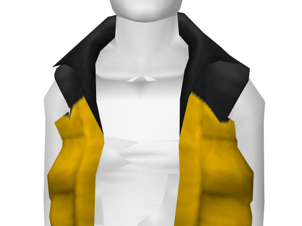 Avatar Yellow Puffy Vest