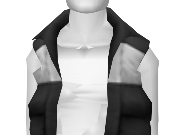 Avatar Black Puffy Vest