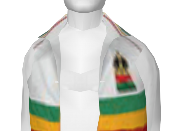 Avatar African Flag Jacket