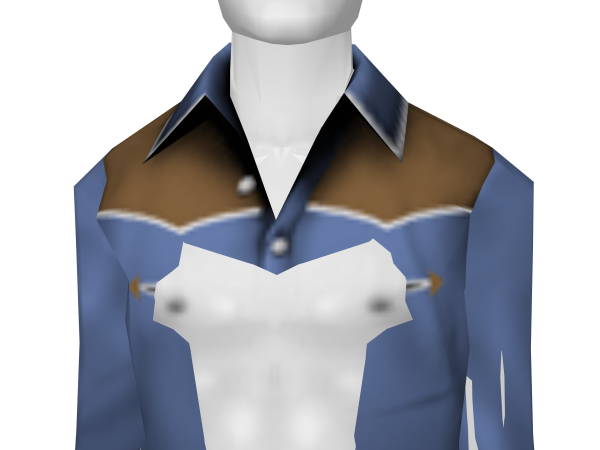 Avatar Blue Western Shirt