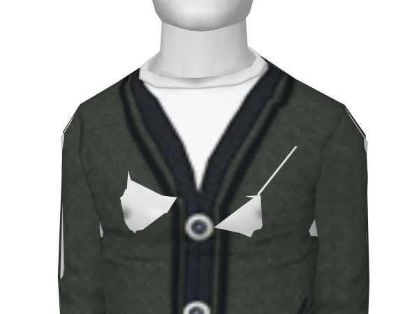 Avatar Gray Cardigan