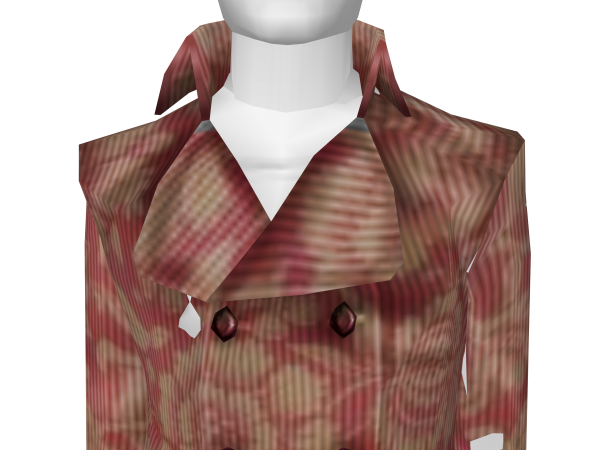 Avatar Victorian Styled Coat
