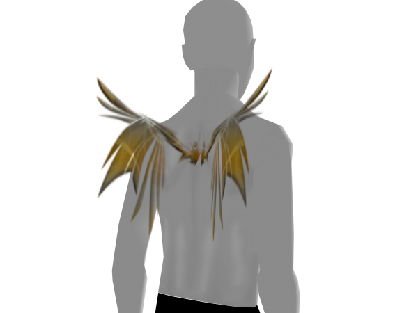 Avatar Gold sky wings