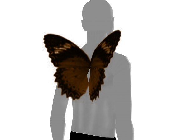 Avatar Orange and black butterfly wings