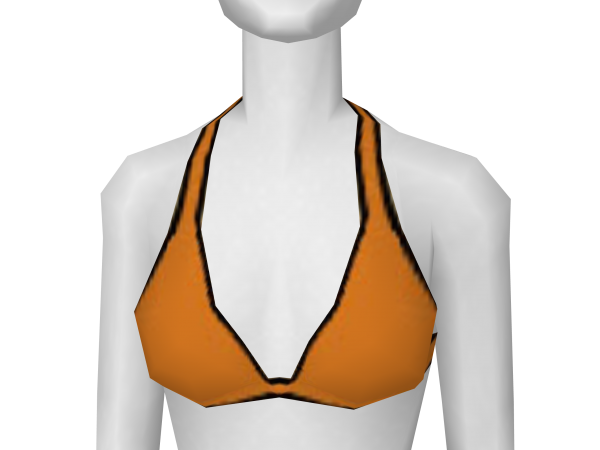 Avatar Orange Bikini Top