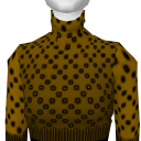 Avatar Gold crop turtleneck