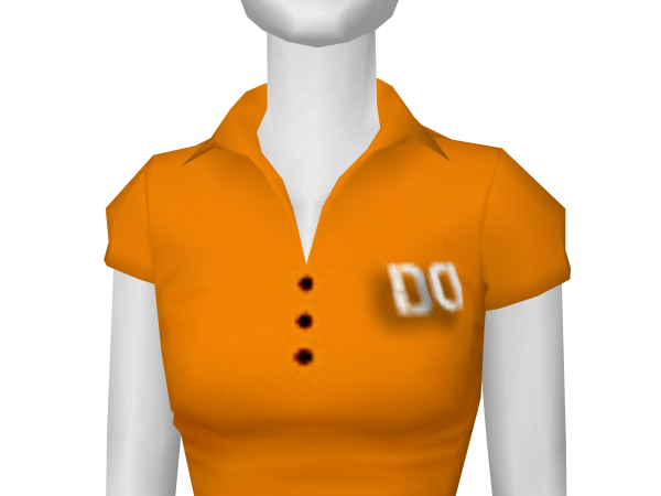 Avatar Orange polo