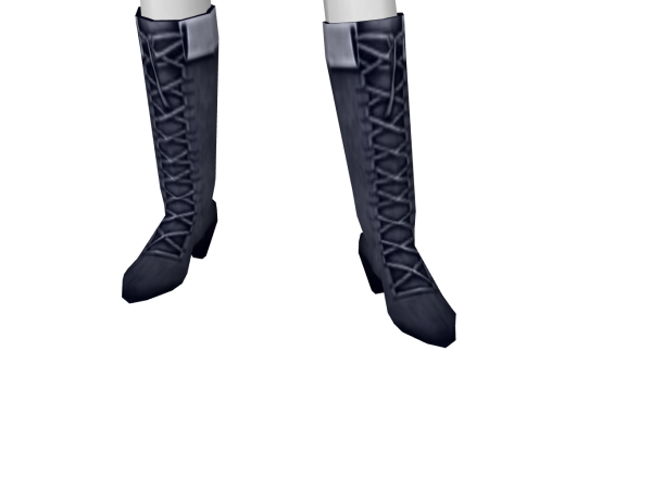 Avatar (streetwear) vcop boots (darker color).