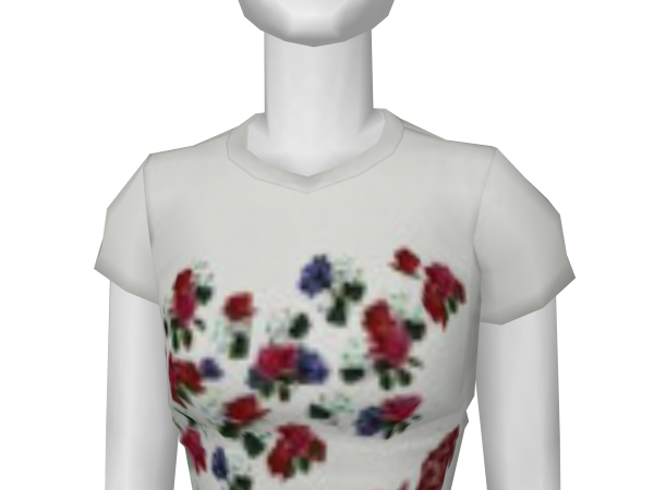 Avatar Grey shirt with flowers