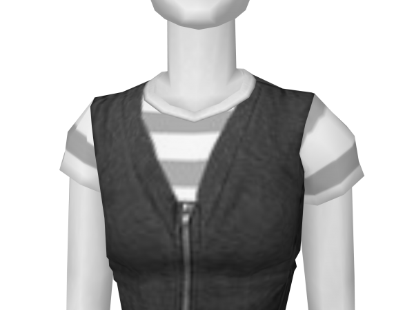 Avatar Gray zip-up vest