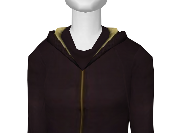 Avatar Brown hoodie