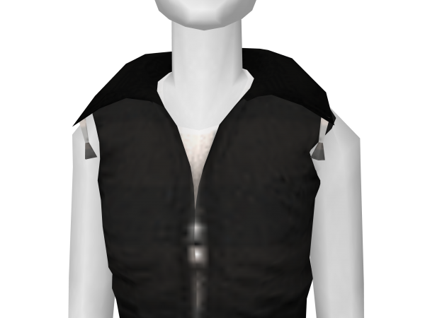 Avatar Black vest