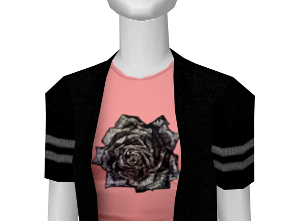 Avatar Sweater with rose tee