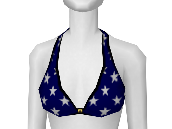 Avatar Stars and stripes two piece bikini top
