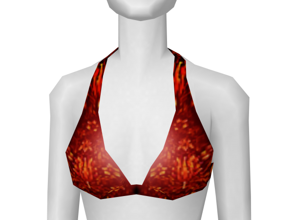 Avatar Red floral bikini top