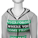 Avatar You may have to go back someday hoodie