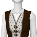 Avatar Layered vests (brown)