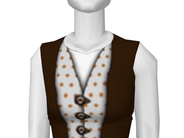 Avatar Layered vests (brown)