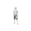 Avatar Seagreen board shorts