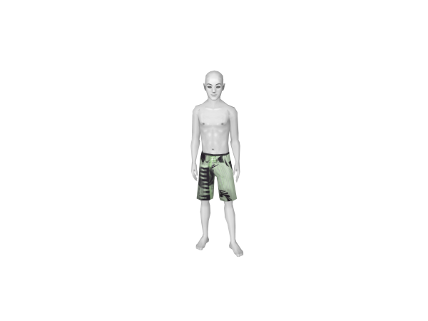 Avatar Seagreen board shorts