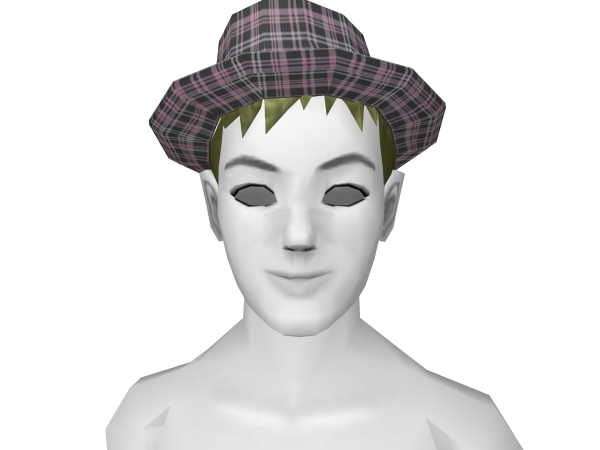 Avatar Streetwear plaid hat