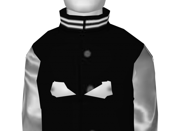 Avatar Silver letterman jacket
