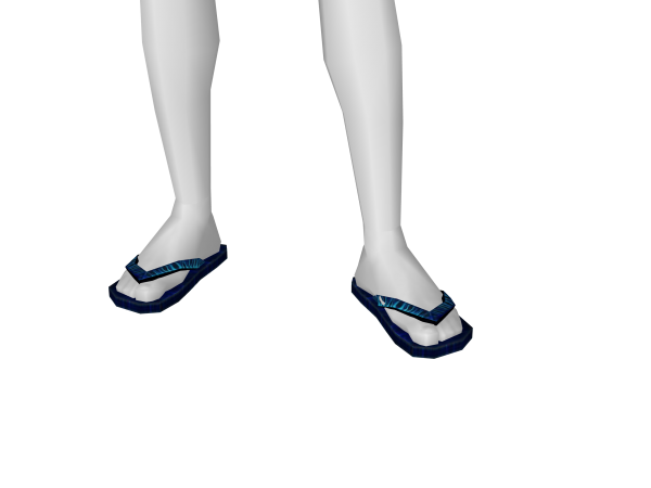 Avatar (streetwear) bluish flip flops.