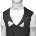 Avatar Grey button up vest