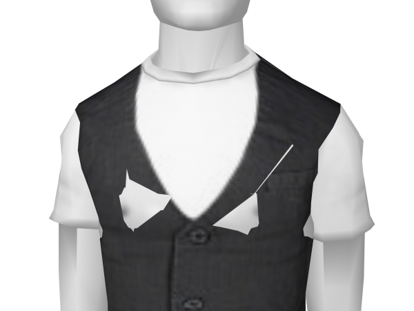 Avatar Grey button up vest