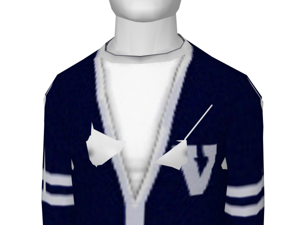 Avatar Navy blue letterman sweater