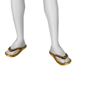Avatar Golden flip flops.