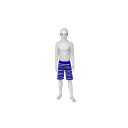 Avatar Dark blue striped shorts