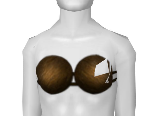 Avatar Hula coconut bra