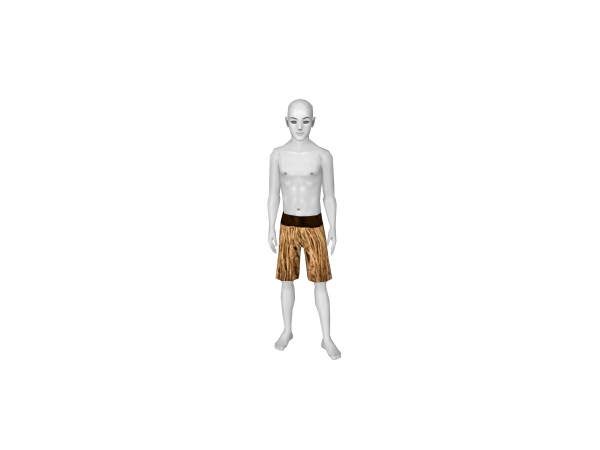 Avatar Hula shorts