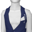 Avatar Blue vest