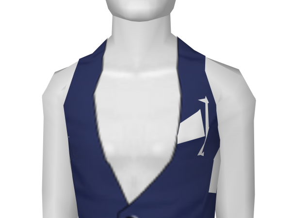 Avatar Blue vest