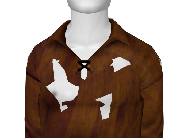 Avatar Peasant shirt