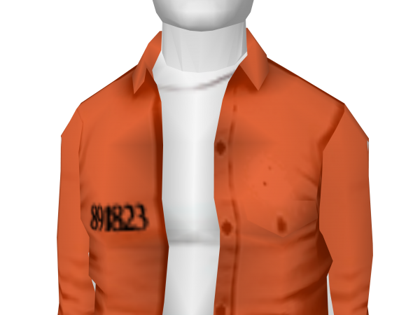 Avatar Prison costume top