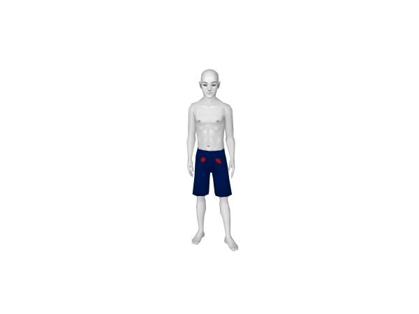 Avatar Ragdoll shorts